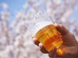 꽃에 취하고 술에 취하고…봄나들이 ‘술판’ 여전