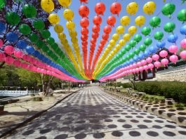 한국관광공사 추천 5월의 걷기여행길