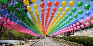 한국관광공사 추천 5월의 걷기여행길