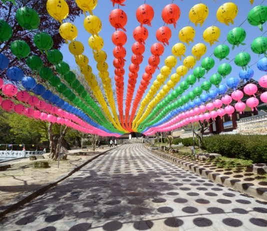 한국관광공사 추천 5월의 걷기여행길