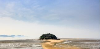 한국관광공사 2019년 6월 추천 가볼 만한 곳