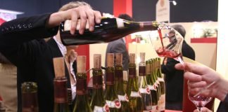 와인 테이스팅 어떻게 할 것인가?