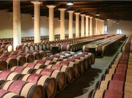 구세계 와인과 신세계 와인 비교