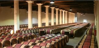 구세계 와인과 신세계 와인 비교