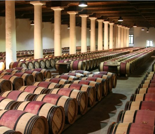 구세계 와인과 신세계 와인 비교