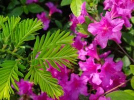 『빈 술병』4월은 가장 잔인한 달