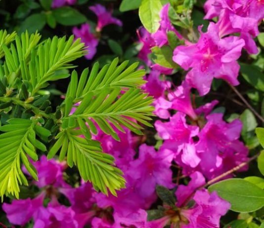 『빈 술병』4월은 가장 잔인한 달