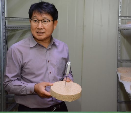 ‘편백숲 산소막걸리 순수령’ 한 잔에 미세먼지도 날린다