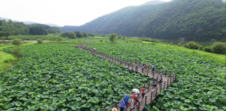 내가 추천한 숨은 관광지 그곳으로 떠나보자!
