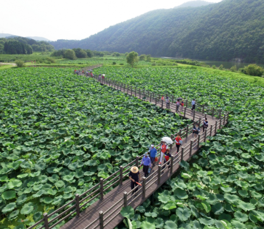 내가 추천한 숨은 관광지 그곳으로 떠나보자!