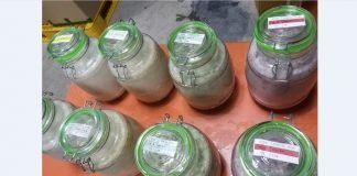 김치유산균이 듬뿍! ‘디톡막걸리파우더 일본에서 호평’