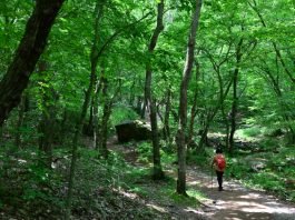 한국관광공사 추천 7월의 걷기여행길