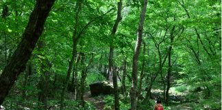 한국관광공사 추천 7월의 걷기여행길