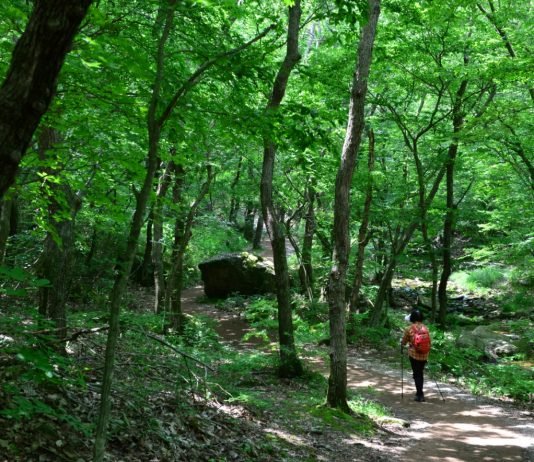 한국관광공사 추천 7월의 걷기여행길