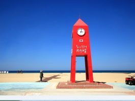 “산불 피해 입었지만 여행갈 곳은 많아요”