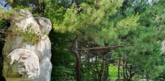 사랑하는 당신과의 거리