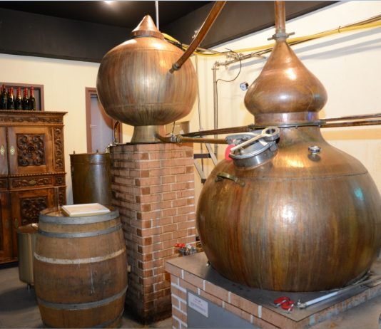 지역 특산주로 만든 맥주와 위스키를 마셔볼 날이 올까?