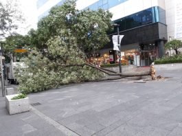 거시기를 남이 알게 하지마라