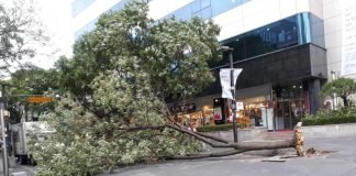 거시기를 남이 알게 하지마라