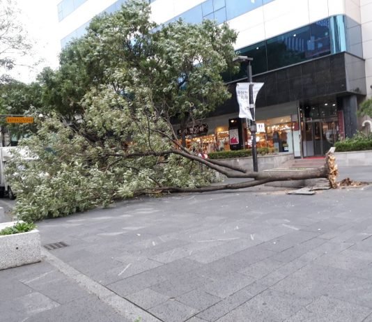 거시기를 남이 알게 하지마라