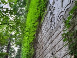 그리 머지않은 술 한 잔의 친구와 동행과의 교차를 위해서…