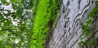 그리 머지않은 술 한 잔의 친구와 동행과의 교차를 위해서…