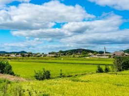 한국관광공사 추천 10월의 걷기여행길