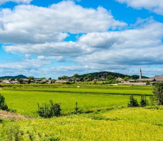 한국관광공사 추천 10월의 걷기여행길