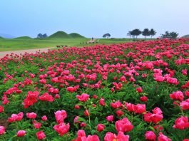 한국관광공사 2019년 11월 추천 가볼 만한 곳