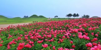 한국관광공사 2019년 11월 추천 가볼 만한 곳