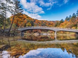 한국관광공사 추천 11월의 ‘걷기여행길’