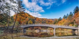 한국관광공사 추천 11월의 ‘걷기여행길’