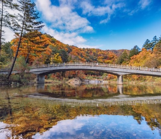 한국관광공사 추천 11월의 ‘걷기여행길’