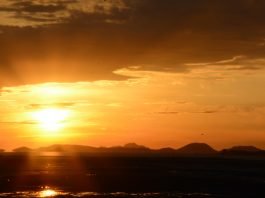 무려 네 명의 아내를 둔 남자에게 가장 소중한 아내