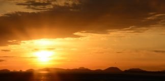 무려 네 명의 아내를 둔 남자에게 가장 소중한 아내