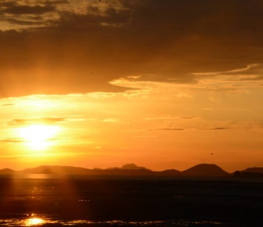 무려 네 명의 아내를 둔 남자에게 가장 소중한 아내