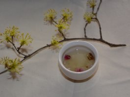 살구꽃 향기 나는 방향(芳香)의 ‘행화춘주(杏花春酒)’