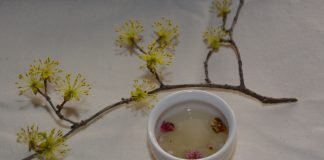 살구꽃 향기 나는 방향(芳香)의 ‘행화춘주(杏花春酒)’