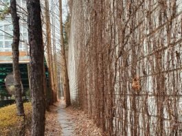 우린 그저 나그네일 뿐