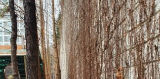 우린 그저 나그네일 뿐