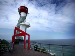 한국관광공사 추천 1월의 걷기 여행길 ‘일출 명소’