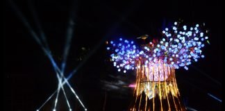 ‘森生守護·光之樹(삼림지킴이·빛의 나무)’ 주제로 등불축제 개최