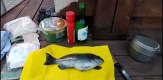 나 홀로 여행의 관건