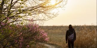 한국관광공사 추천 5월 걷기여행길