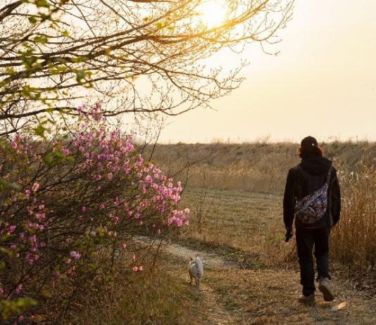 한국관광공사 추천 5월 걷기여행길