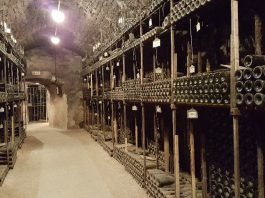 와인이 잠들어 향이 닫혀있는 현상