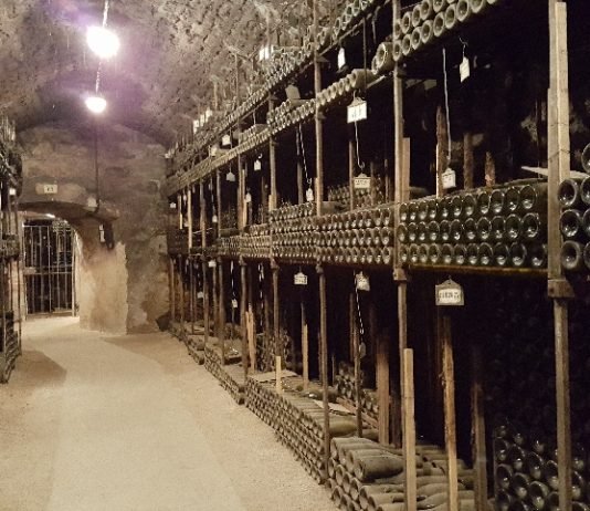 와인이 잠들어 향이 닫혀있는 현상