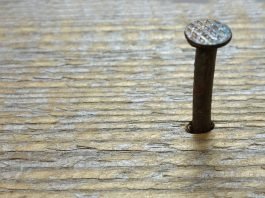 가시 말고 대못을 빼주었으면 하는 전통주 규제