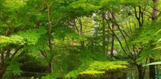 에그! 프라이(egg fry)도 할 줄 모르는 남자