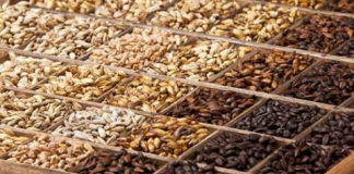 더쎄를라잇브루잉, 수제맥주 원재료 공급 양조장 100곳 돌파